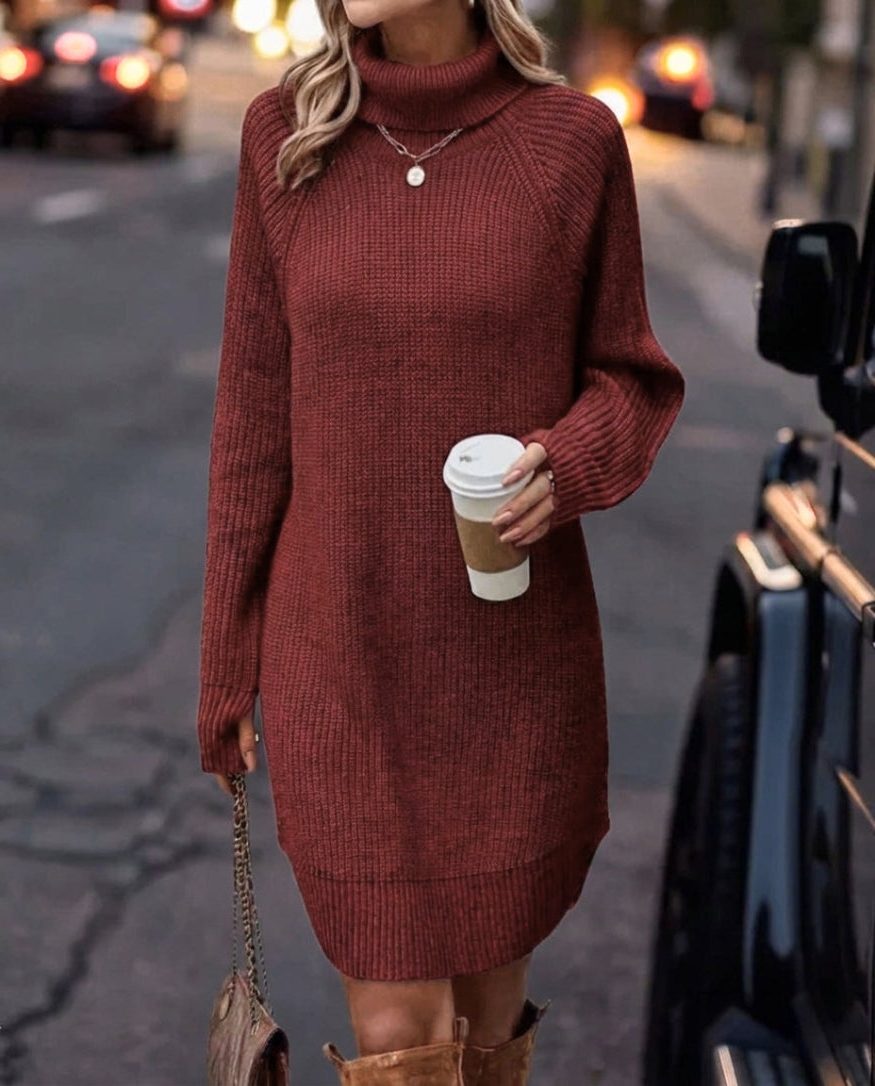 Women's Ribbed Knit Turtleneck Winter Sweater Dress